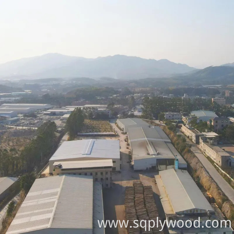 Shuttering/Marine Plywood, Construction Waterproof Film Faced Plywood for Building